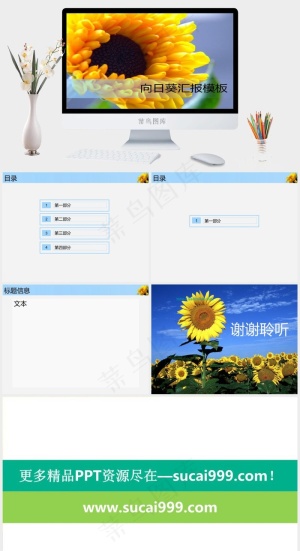 个人工作汇报ppt模板突出PPT模板预览图