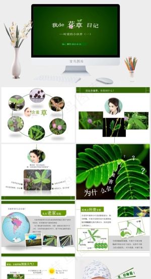 花草日记含羞草ppt模板绿色简洁营销PPT模板预览图