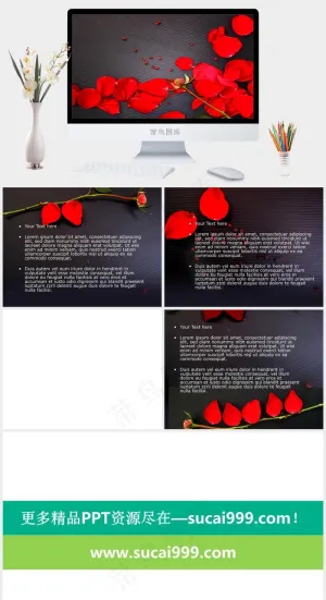 玫瑰花瓣婚庆主题PPT模板灰色实景风PPT模板预览图