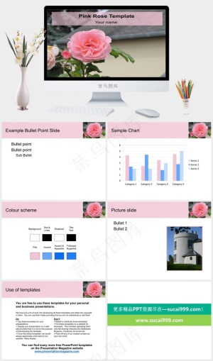 粉红玫瑰PPT模板实景风突出PPT模板预览图