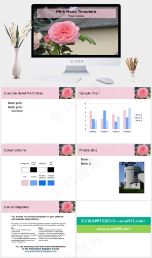 粉红玫瑰PPT模板实景风突出PPT模板