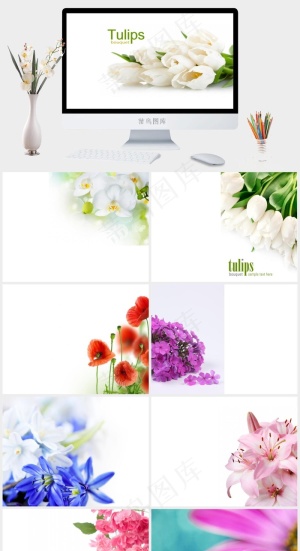 鲜花似锦ppt背景模板白色突出简洁PPT模板预览图