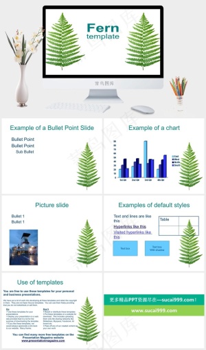 蕨类植物自然模板白色突出PPT模板