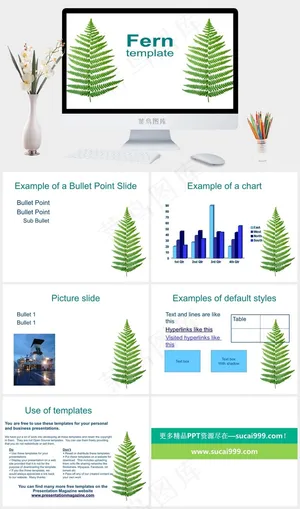 蕨类植物自然模板白色突出PPT模板预览图