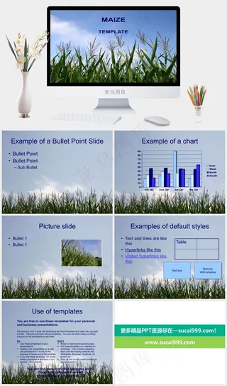 玉米的PowerPoint模板蓝色实景风营销PPT模板蓝色实景风营销PPT模板