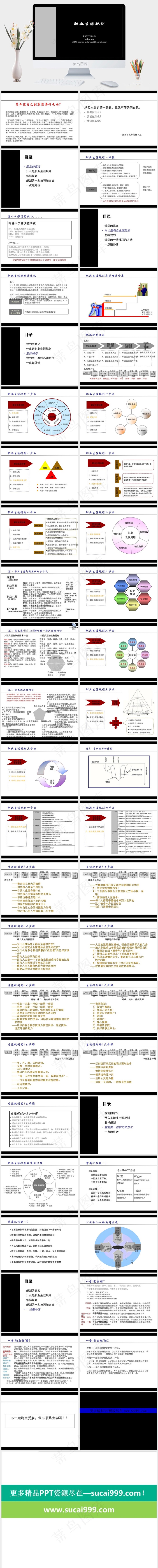 大学生职业规划演讲ppt职业生涯规划
黑色硬朗高冷简洁标准PPT模板