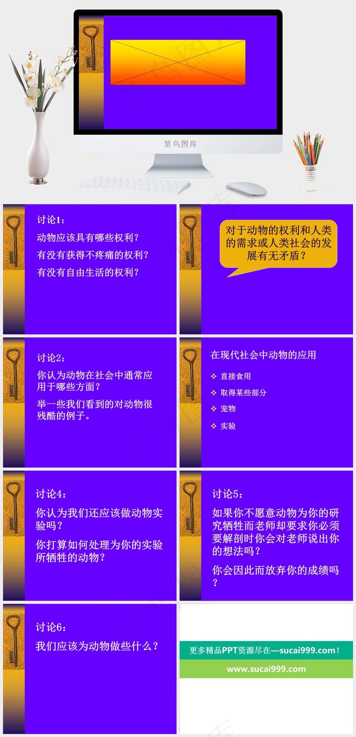 动物的权利图片紫色简洁PPT模板