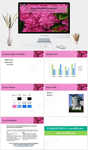 粉红色的花朵模板红色突出PPT模板预览图