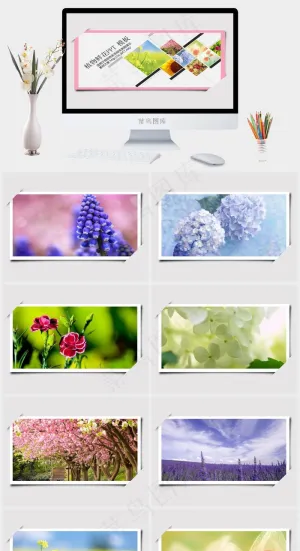鲜花植物ppt模板背景图片图表课件灰色标准PPT模板灰色标准PPT模板预览图