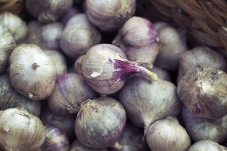 instagram、博客、社交、媒体、美食、洋葱、大蒜、新鲜