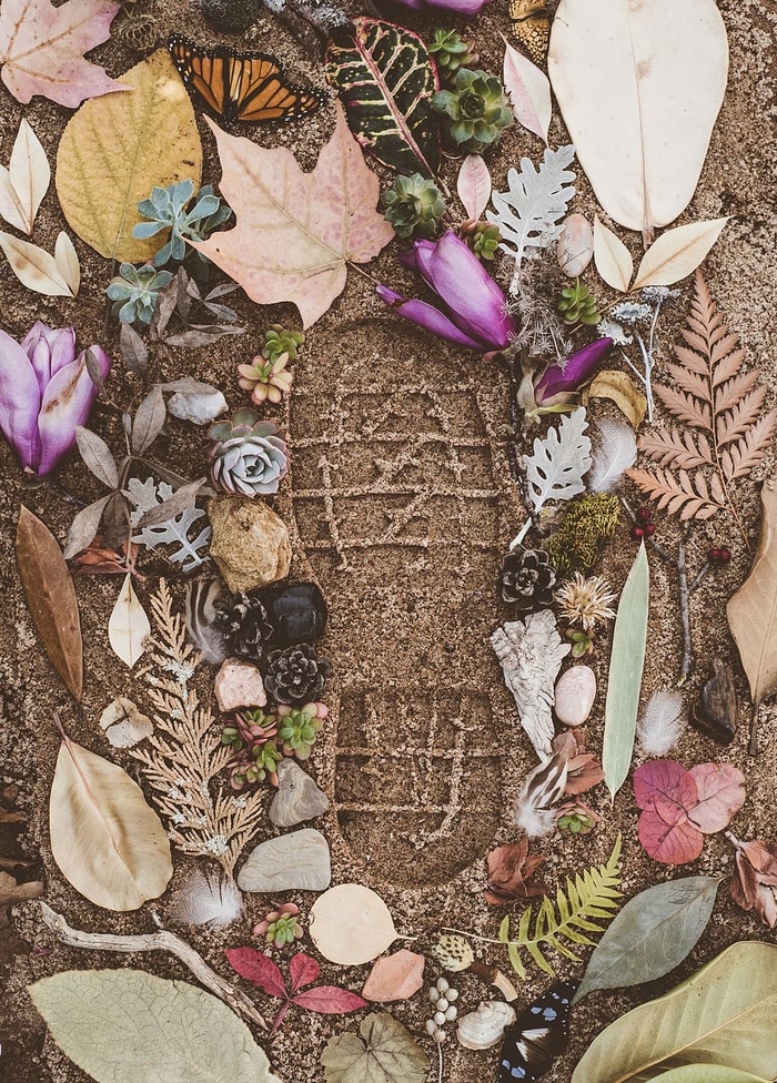 沙滩上的各种花和叶，带有鞋印