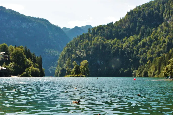 königssee，berchtesgaden，水，树，自然之美，植物，山，湖