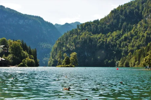 königssee,berchtesgaden,水,树,自然之美,植物,山,湖 königssee,berchtesgaden,水,树,自然之美,植物,山,湖