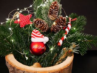 装饰，圣诞插花，枞树，圣诞节，圣诞节时间，圣诞节主题，树枝，庆祝活动