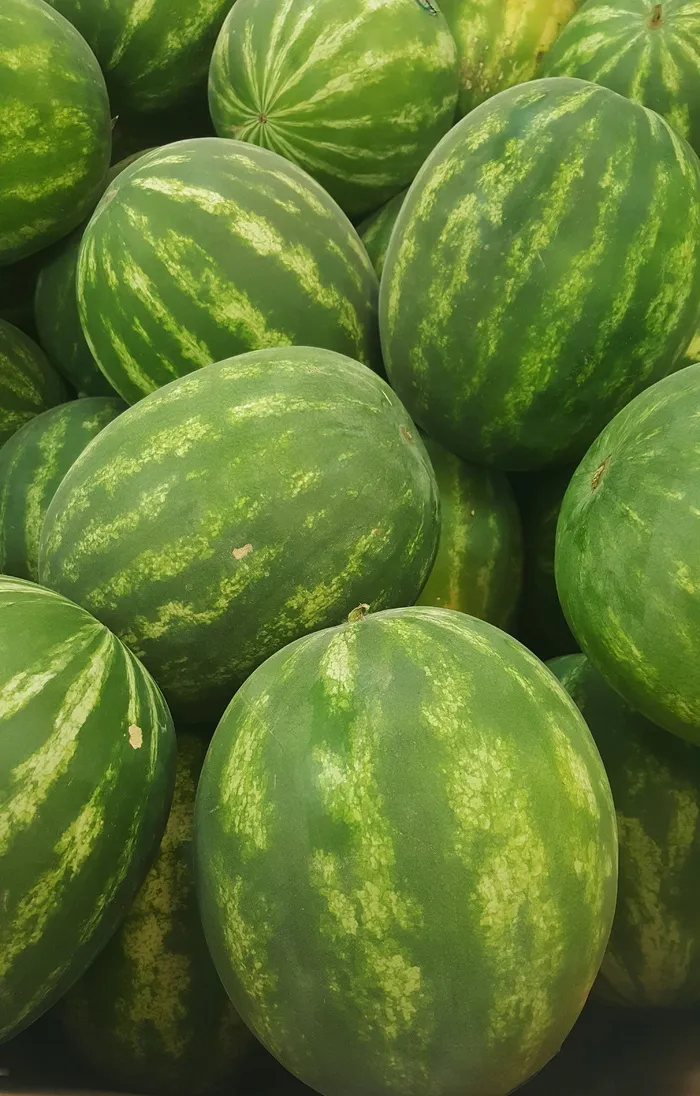 西瓜，甜瓜，无籽，食物，夏天，水果，吃，绿色