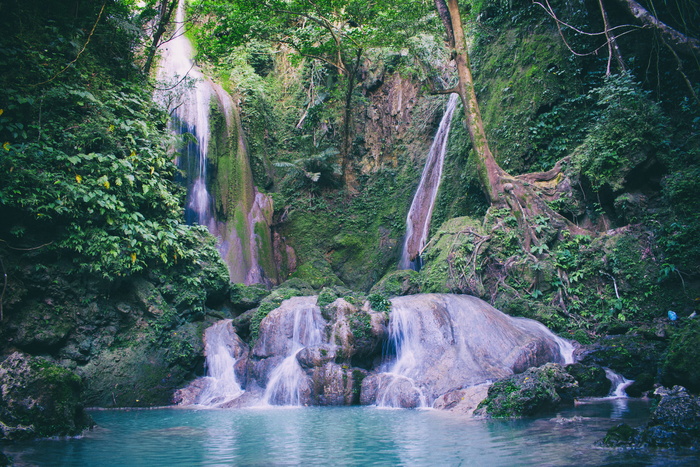 水与绿树合影