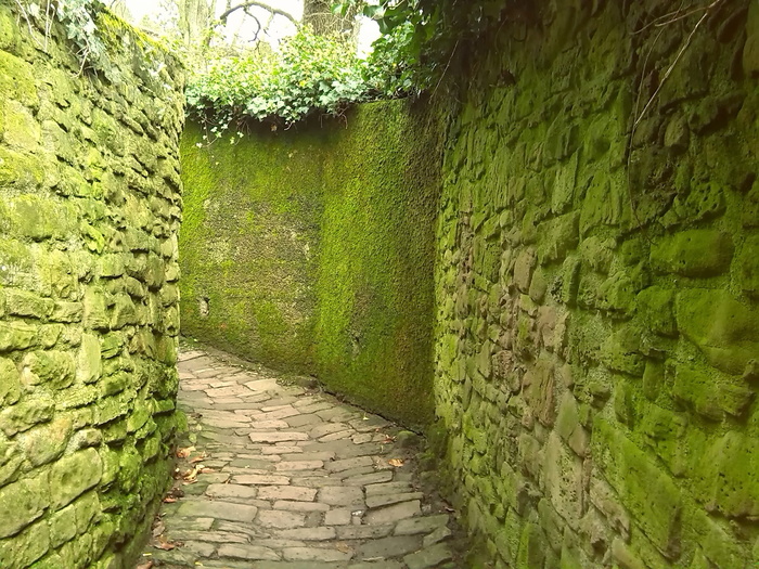 德国海德堡，步行，绿色，方向，人行道，绿色，建筑