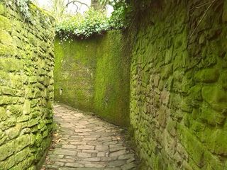 德国海德堡，步行，绿色，方向，人行道，绿色，建筑