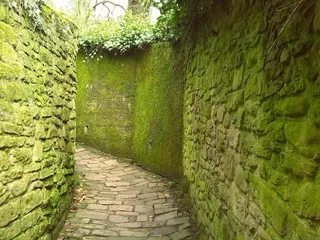 德国海德堡，步行，绿色，方向，人行道，绿色，建筑