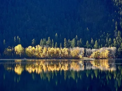 全景、摄影、树木、倒影、水、森林、海岸线、湖泊 全景、摄影、树木、倒影、水、森林、海岸线、湖泊