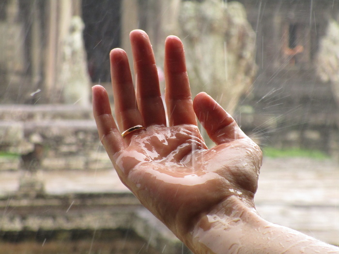 人，戴，金戒指带，雨，滴，手掌，白天，手