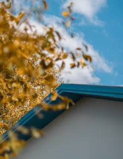 白天蓝天下白蓝房子旁边棕色树的特写照片 白天蓝天下白蓝房子旁边棕色树的特写照片