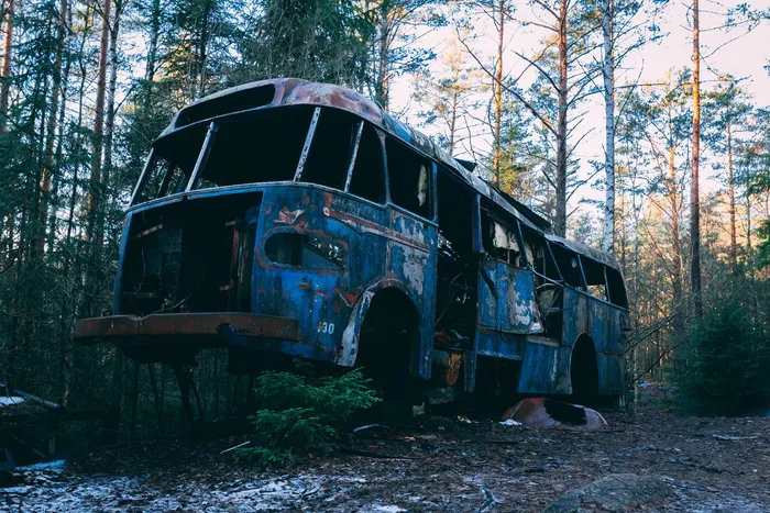 在树林中撞毁的蓝色巴士