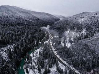 乌克兰，旅行，冬天，雪，森林，树木，道路，河流