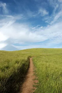 小路,草地,卷云,自然,绿色,草地,田野,跋涉 小路,草地,卷云,自然,绿色,草地,田野,跋涉