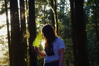 户外，阳光，乐趣，摄影，林中女孩，小夜总会，绿色，树叶