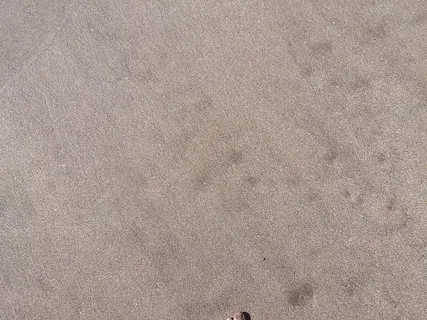 阿根廷，盖塞尔别墅，马尔德拉斯帕斯。通用域名格式。ar、竞技场、纹理、纹理、沙子、纹理