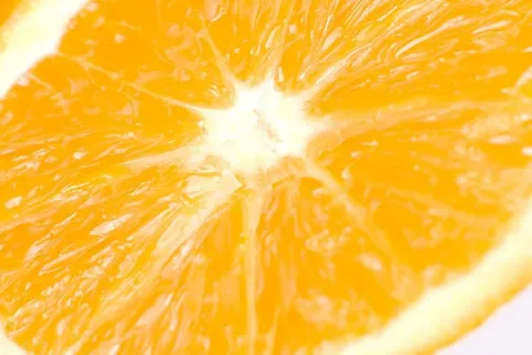 柑橘 柑橘