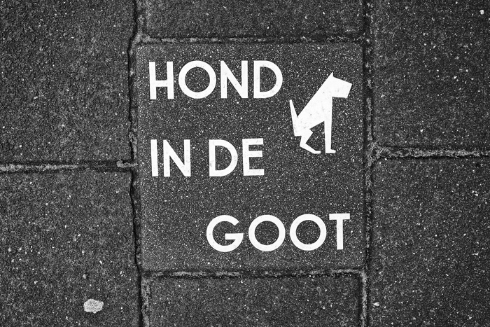 人行道，瓷砖，狗，象形文字，警告，禁止，不拉屎，不拉屎