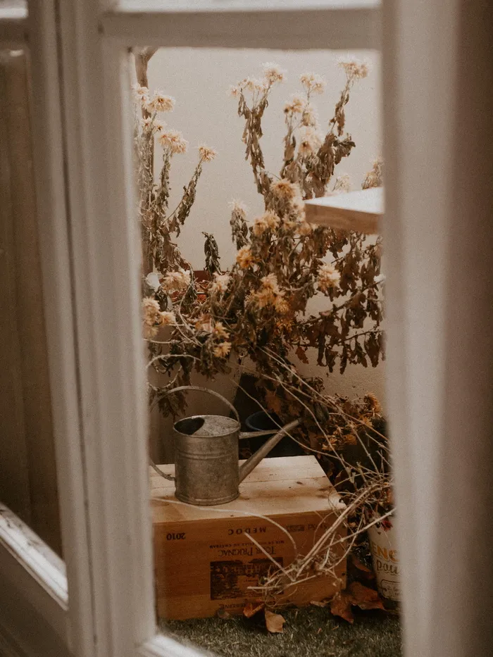 干花和浇水罐在外面