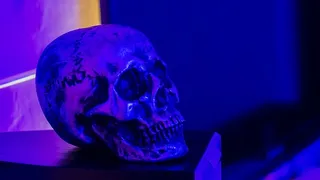 抽象，头骨，黑色，死亡，骷髅，头部，室内，蓝色