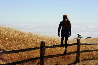 女人，站着，棕色，木制，篱笆，田野，女人，s