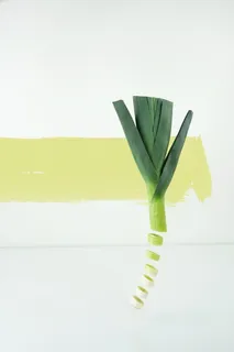 葱片特写照片 葱片特写照片