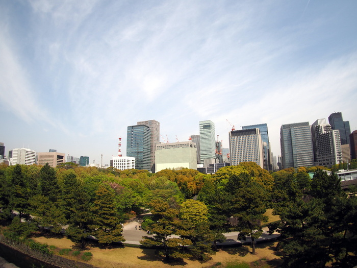 东京、丸内町、故宫、比尔、城市、天空、建筑结构、建筑