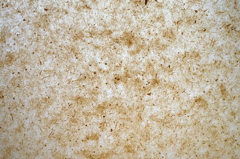 纸，背景，结构，羊皮纸，透明，纤维，背景，纹理