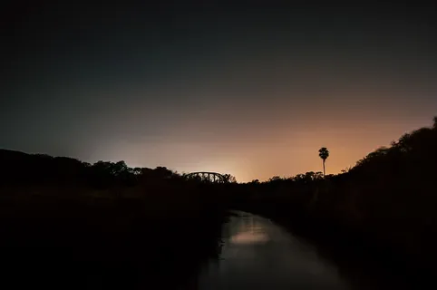 树影 树影