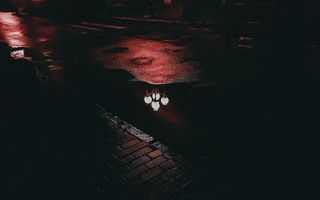 夜间路灯在街道水坑上的反射