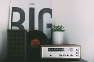 灰色放大器，桌子，收音机，植物，树叶，绿色，乙烯基，相册