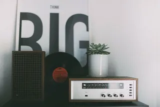 灰色放大器，桌子，收音机，植物，树叶，绿色，乙烯基，相册