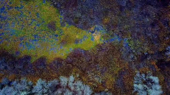 自然、景观、空中、水下、海洋、海洋、海底、全框架 自然、景观、空中、水下、海洋、海洋、海底、全框架