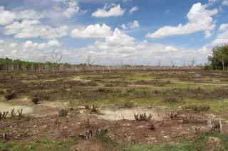 亚洲，玻璃，土地，自然，云天，植物，天空，风景-自然