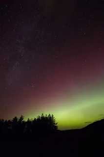 北极光,树木,夜晚,天空,星星,剪影,夜晚,自然之美 北极光,树木,夜晚,天空,星星,剪影,夜晚,自然之美