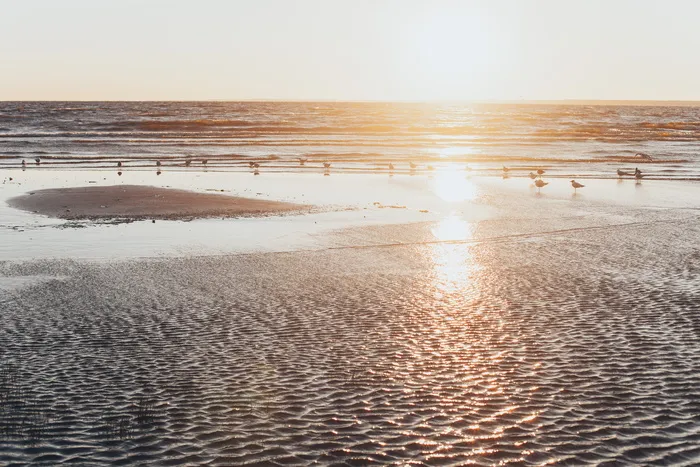 沙子和红色的太阳