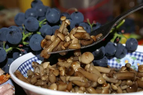 蘑菇,泡菜,葡萄,泡菜蘑菇,食品,开胃菜,泡菜,餐桌 蘑菇,泡菜,葡萄,泡菜蘑菇,食品,开胃菜,泡菜,餐桌