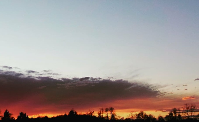 日落，剪影，树木，云朵，天空，日出，黑暗，自然