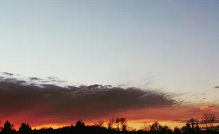 日落，剪影，树木，云朵，天空，日出，黑暗，自然